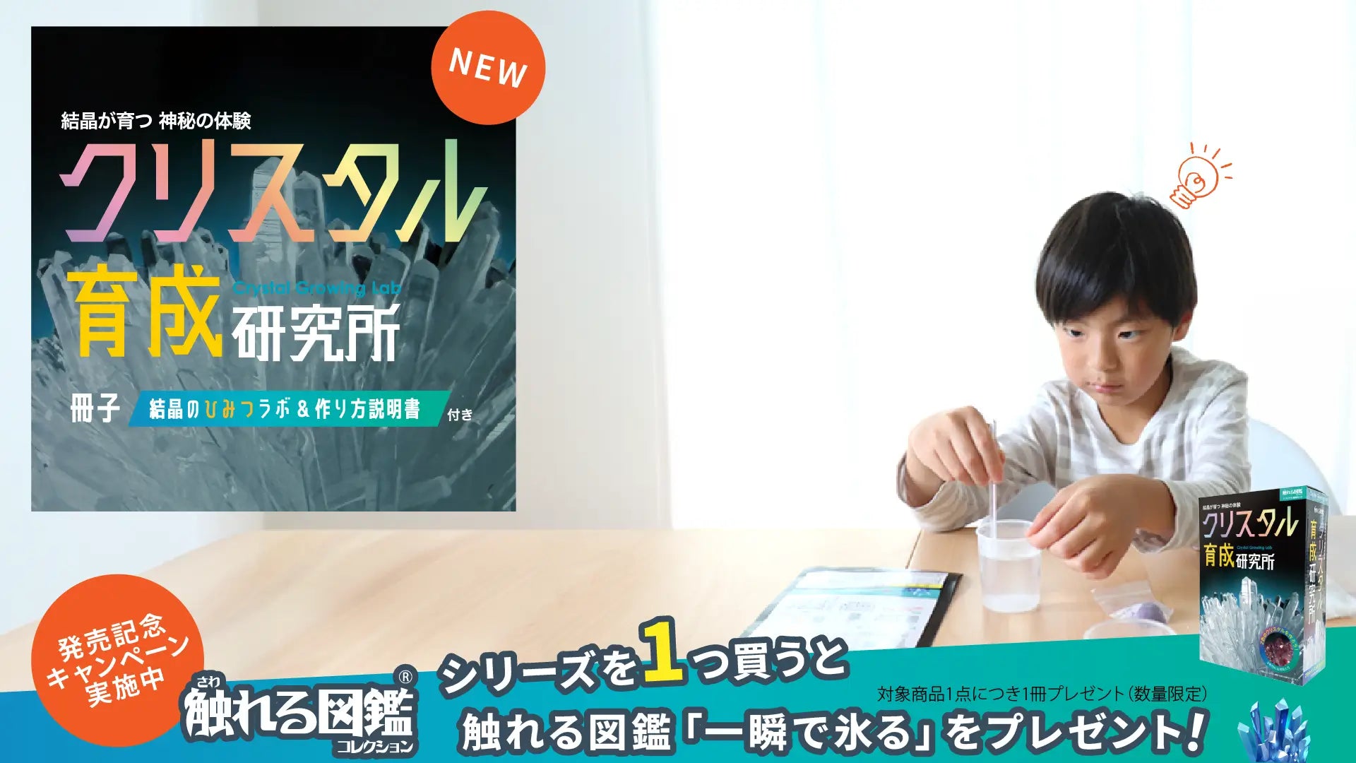 クリスタル育成研究所 新発売｜夏休みの自由研究に親子で楽しむ結晶