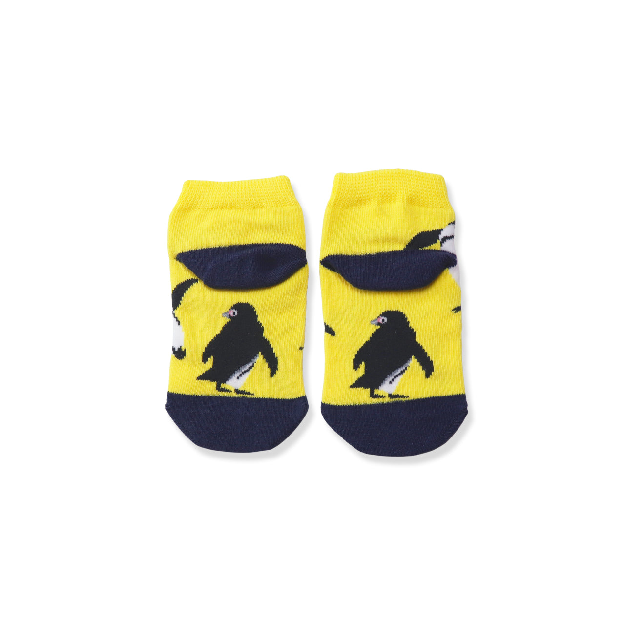 靴下 キッズ/たいそう【ぺんぎんたいそう】【絵本のくつした】