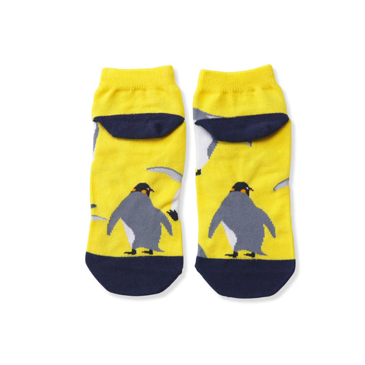 靴下 レディース/たいそう【ぺんぎんたいそう】【絵本のくつした】