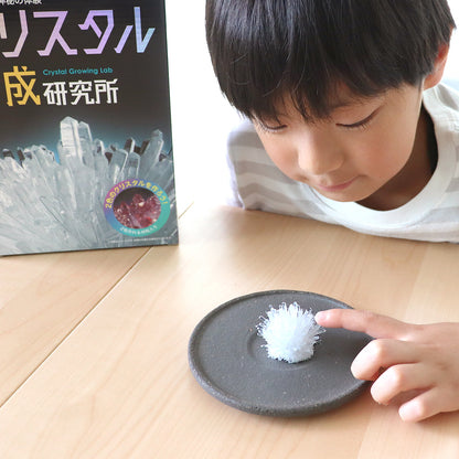 クリスタル育成研究所【触れる図鑑】/ クリスタルの結晶の仕組みなどを学べるセット