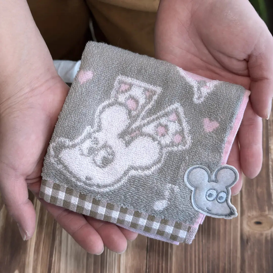 【絵本のタオル】ねずみくん PT グレーアップリケ