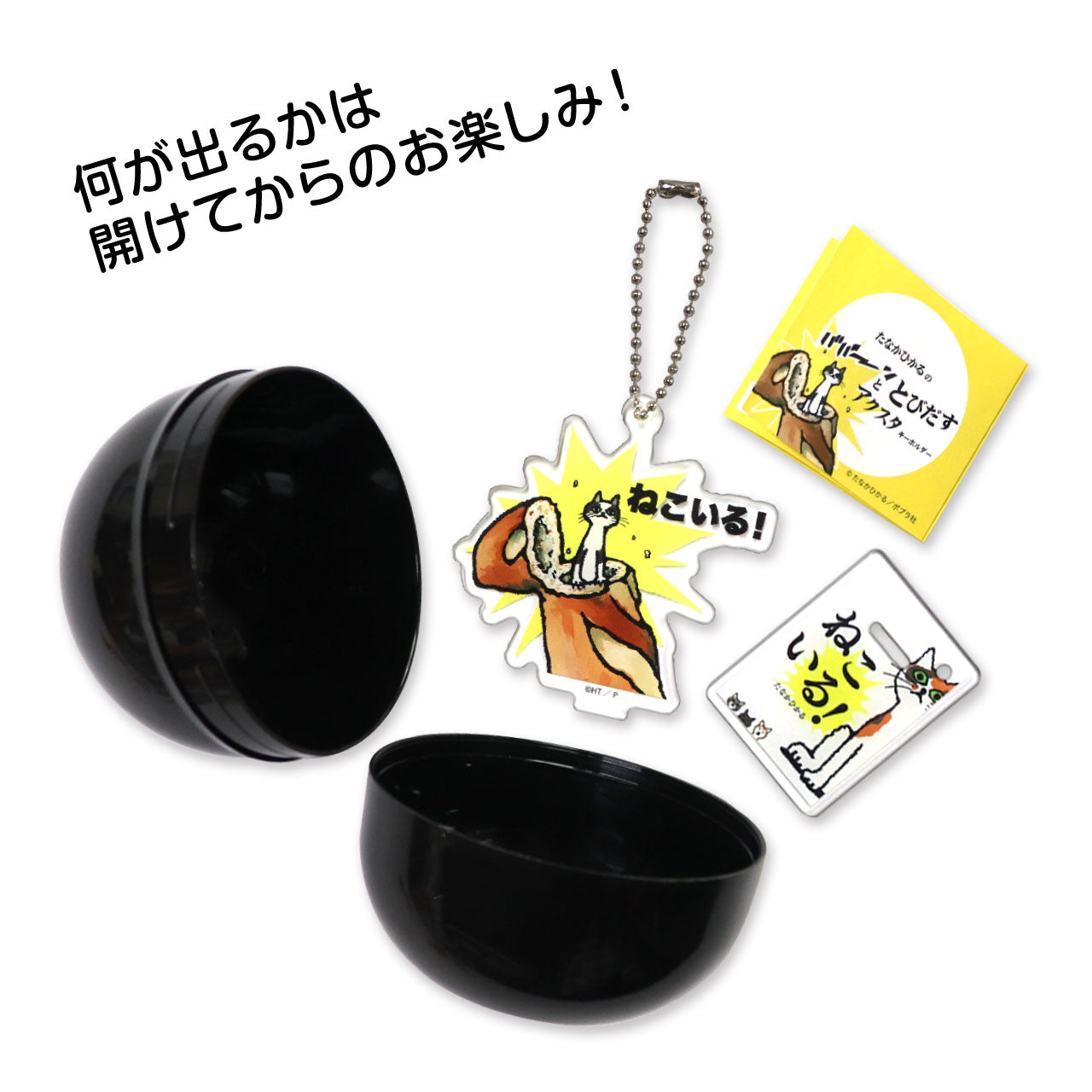 絵本のキーホルダー】アクスタキーホルダー たなかひかるver.1【たなか