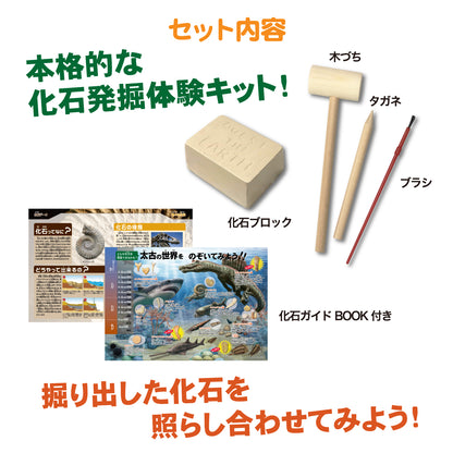 化石発掘体験【触れる図鑑】/本物の化石が入った発掘キット