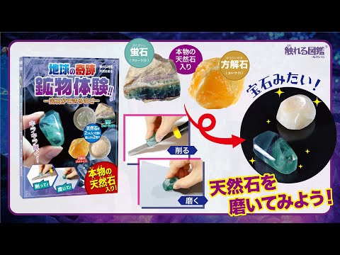 天然石磨き【触れる図鑑】/蛍石と方解石の原石を磨く体験セット