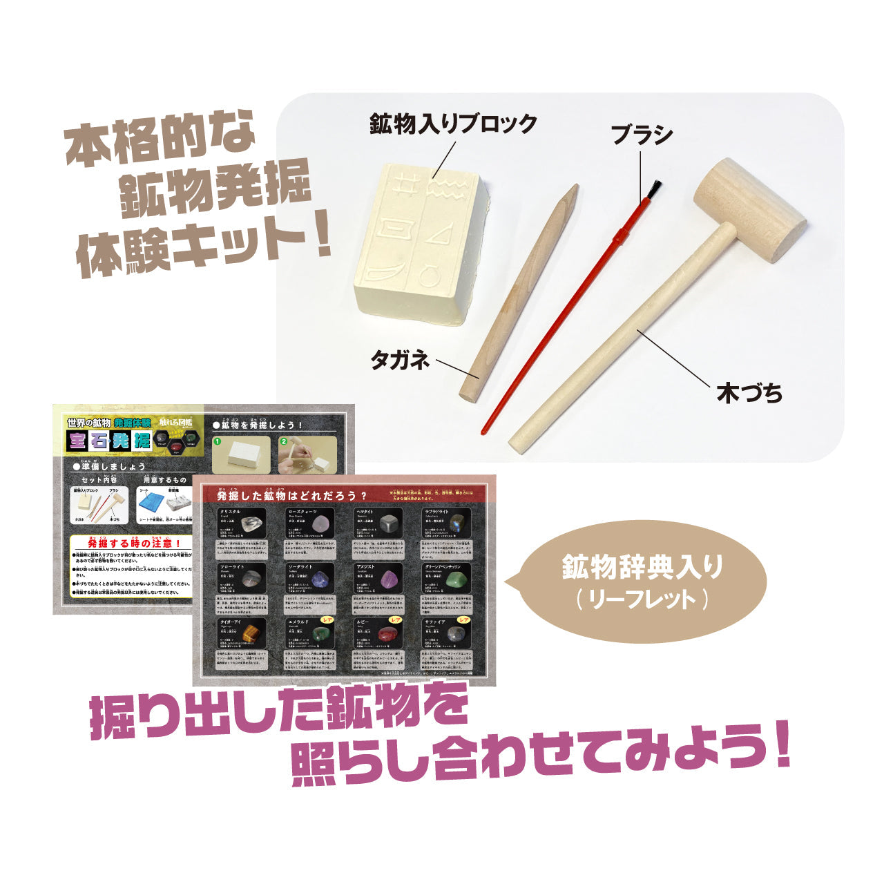 自然科学と博物館　189冊セット 宝石発掘体験【触れる図鑑】/本物の鉱物が入った発掘キット