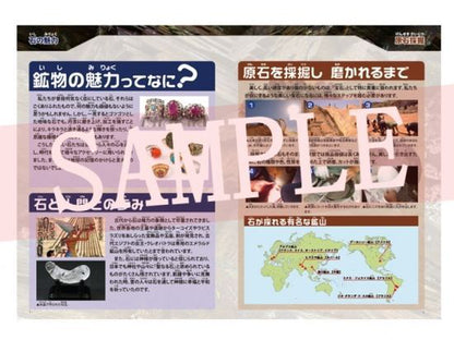 原石磨き【触れる図鑑】