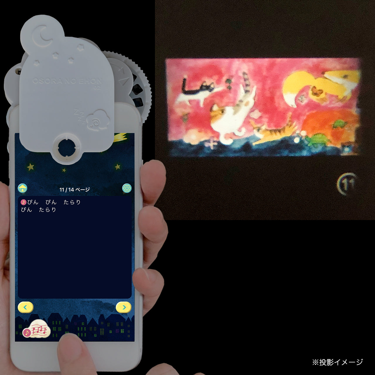 【おそらの絵本】 しっぽがぴん