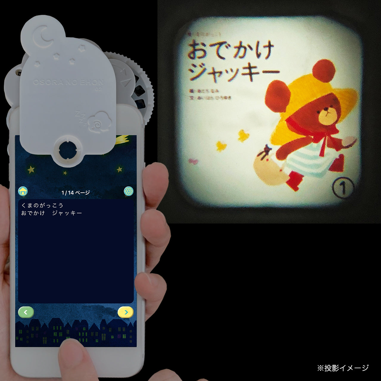 くまのがっこう 公式ホームページ