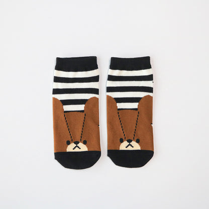 くまのがっこう ソックス ジャッキーボーダーブラック
