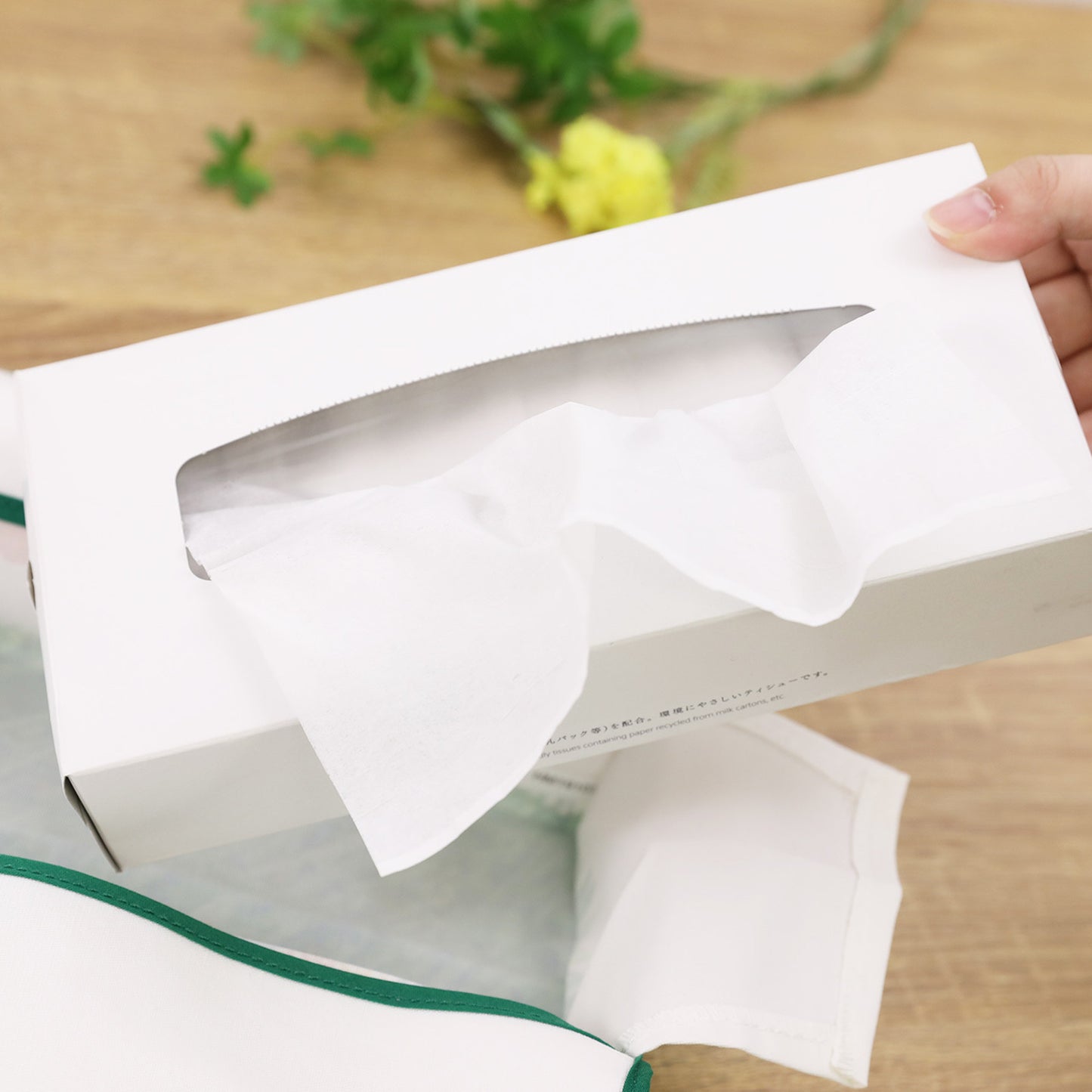 ティッシュケース　アルファベット【はらぺこあおむし】